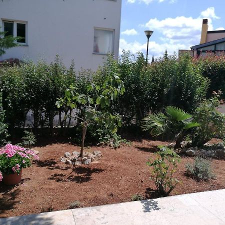 Ferienhaus Bozena Appartment 6 Vrsar Εξωτερικό φωτογραφία