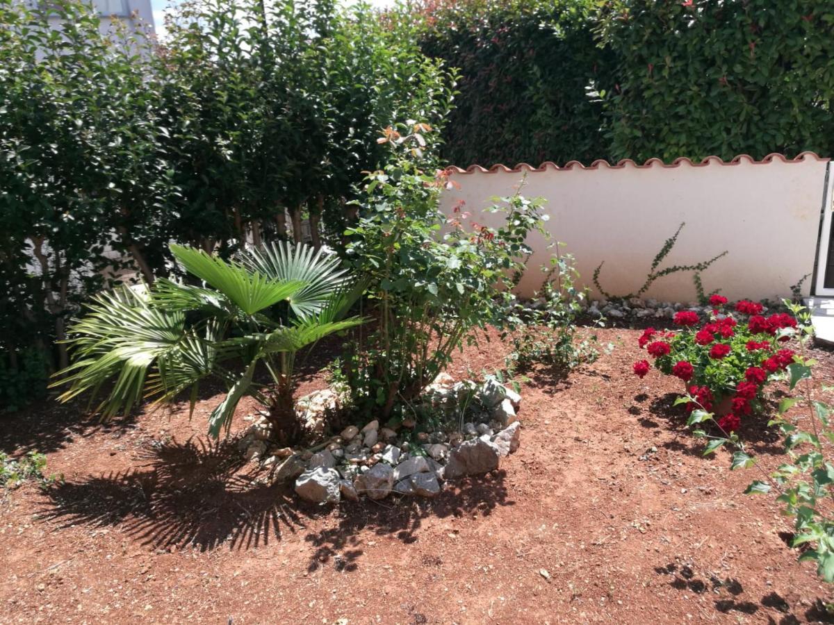 Ferienhaus Bozena Appartment 6 Vrsar Εξωτερικό φωτογραφία